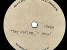 ERTLIF (?)  Try making it easy One-sided 7 inch ACETATE  PROG/ PSYCH. Free Post