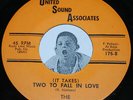 Doo Wop 45 THE DEL CADES It Takes Two To Fall In Love /World's Fair United Sound