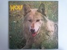 DARRYL WAY'S WOLF CANIS LUPUS DERAM SDL14 DEK MESSECAR PROG GATEFOLD