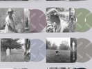 Taylor Swift Folklore 8 Vinyl Variants Complete Set New Sealed Limited