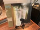 The War on Drugs “Lost in the Dream” Vinyl Color 500 Copies Limited Edition