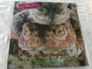 PETER AND THE TEST TUBE BABIES THE MATING SOUNDS OF SOUTH AMERICAN FROGS VG+/VG+