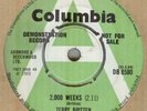 TERRY BRITTEN**BARGAIN DAY**DEMO**PSYCH**THE COLUMBIA LABEL**LISTEN