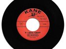 DOO WOP 45 THE NEWPORTS IF I COULD TONIGHT ON KANE VG+ ORIGINAL
