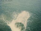 Mountain Man - Made the Harbor (10 Year Anniversary Edition) 2LP NEW