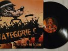Vinyl Lp  ISD Rock O Rama Rebelles Europeens Skinhead oi