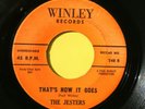 JESTERS Doo Wop 45rpm That's How It Goes b/w Tutti Frutti HEAR