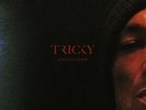 Tricky - Ununiform [Used Very Good Vinyl LP]