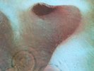 PINK FLOYD   Meddle   1971 UK Harvest label vinyl LP   TEXTURED SLEEVE   A4 / B3