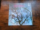 2 LP s von Amon Düül II  Doppel LP Tanz der Lemminge  und Phalus DEI