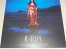 Birdy - Beautiful Lies Vinyl Doppel Lp Album