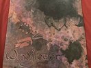 SEALED - Windflower - S/T - RARE PRIVATE PSYCH ACID ARCHIVES LP