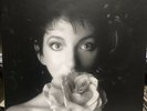 KATE BUSH - REMASTERED IN VINYL Vol 2 - 4 x VINYL LP BOX SET (2018) Mint Condn
