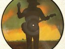 STEVIE RAY VAUGHAN limited edition Picture Disc 'Couldn't Stand The Weather'