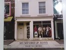 New Mumford & Sons Sigh No More Vinyl