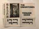 Very rare Punk Vinyl - The undertones - Teenage kicks White Sleeve Great Copy