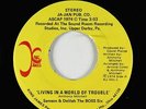 Funk 45 - Samson & Delilah - Living In A World Of Trouble - King James - VG+ mp3