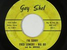 Northern Soul 45 - Fred Lowery/Big Bo & the Arrows - I'm Sorry - Gay Shel - mp3