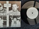 The Blood – Stark Raving Normal 1983 Label: NOYZ1 Excellent Condition(Rare Punk)