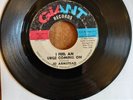 Jo Armstead - I Feel An Urge Coming On / I Who Love You So - Giant - Rare...