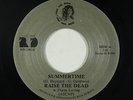 Modern Soul Jazz 45 - Raise The Dead - Summertime - RTD - VG+ mp3 - unknown?