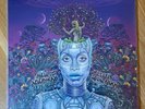Erykah Badu - New Amerykah Part Two: Return Of The Ankh 2xLP Original Press NM