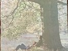 JOHN LENNON PLASTIC ONO BAND BEATLES WHITE APPLE SW 3372 WINCHESTER PRESS NM-