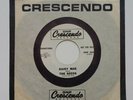 THE SEEDS- 45 rpm Daisy Mae / Can't Seem To Make You Mine -1965 PROMO Rockabilly