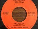 THE JIGGAMABOBBERS Crazy Bout You / Sky Jack Rare Private AOR Rock Power Pop 45