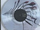 Dominic Fike ‎- What Could Possibly Go Wrong LP CLEAR COLORED Vinyl Album RECORD
