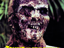 Zombie Flesh Eaters - Boxset - CD/Vinyl/Prints/Book - Limited 250 - Fabio Frizzi