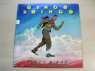 EX-/EX-   Oingo Boingo/Only A Lad/1981 A& LP/Danny Elfman/USA Issue