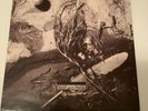 DAVID SYLVIAN 'SECRETS OF THE BEEHIVE' VINYL LP & BRILLIANT TREES LP JAPAN