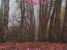 TWINK Think Pink & Sound Of Silk - 2x coloured Vinyl LPs - Akarma AK 064/2