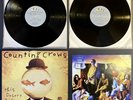 COUNTING CROWS This Desert Life  VINYL 2LP 1999 ORIGINAL Geffen