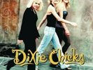 Dixie Chicks - Wide Open Spaces - LP 150 Gram Vinyl New Sealed Record