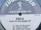ORCA - Back To The Jungle EP 12”  Vinyl (Drum n Bass/Jungle) - Vgc++