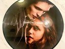 Twilight Picture Disc Record Paramore 2008 Hot Topic Exclusive RARE Vinyl