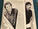 Daryl Hall and John Oates - Voices - MFSL Original Master Recording lp