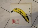 The Velvet Underground &Nico 1966 MGM Records LP Vinyl 12