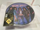 Bon Jovi Slippery When Wet Limited Picture Edition - Good Condition