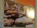 Led Zeppelin: Houses of the Holy LP Vinyl Early Pecko 'For Mary'?