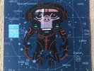 SpaceMonkeyz Vs Gorillaz - Laika Come Home (Vinyl Record)