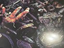 Dystopia - Human=Garbage - Clear  Vinyl LP - Rare w/ Lyric Booklet