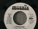 Funk 45 Magnum The Phoenix 315 Evolution/Your Mind VG- 