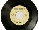 THE TRAITS “TOO GOOD TO BE TRUE” 1966 GARRISON PROMO NM- PROMO