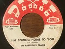 Northern Soul Garage 45 - Fabulous Plaids - I'm Coming Home To You - Dixie