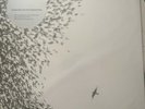 WILCO Sky Blue Sky 2LP Vinyl HALF-SPEED MASTERED Incl. CD  New