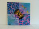 Pauline Filby - Show Me A Rainbow - Herald records - EX