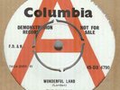 THE SHADOWS**WONDERFUL LAND**DEMO**BEAT**THE COLUMBIA LABEL**LISTEN TO IT
